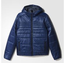 Чоловіча куртка утеплена Adidas Pad Jkt AP9541