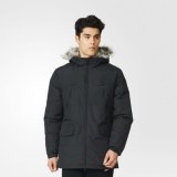 Мужская куртка Adidas SDP Jacket Fur AP9551_image_1