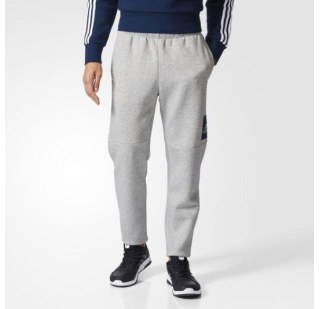 Мужские брюки Adidas Ess Bl T Pnt Fl BQ9560