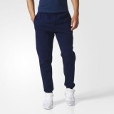Мужские брюки Adidas Ess Bl T Pnt Fl BQ9565_image_1