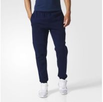 Мужские брюки Adidas Ess Bl T Pnt Fl BQ9565_image_28