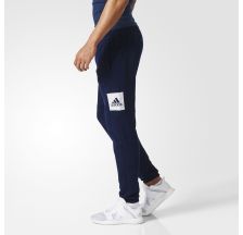 Мужские брюки Adidas Ess Bl T Pnt Fl BQ9565