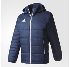 Чоловіча куртка Adidas Tiro17 Wint Jk BS0045