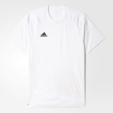 Мужская футболка Adidas Regista 16 AJ5846_image_1
