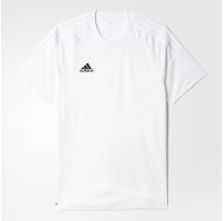 Чоловіча футболка Adidas Regista 16 AJ5846_image_5