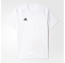 Чоловіча футболка Adidas Regista 16 AJ5846