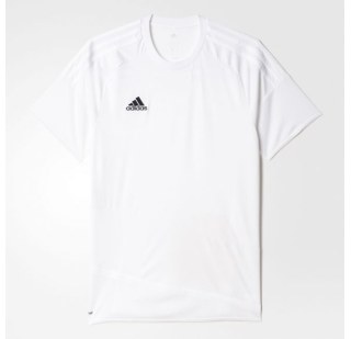 Мужская футболка Adidas Regista 16 AJ5846