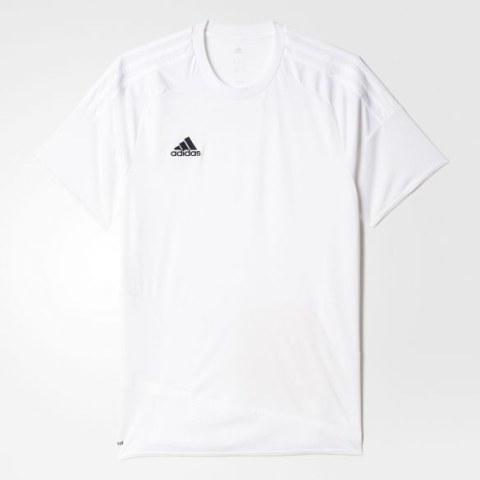 Мужская футболка Adidas Regista 16 AJ5846_image_1