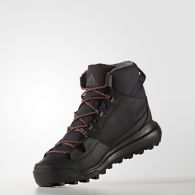 Чоловічі черевики Adidas Winterpitch AQ6571