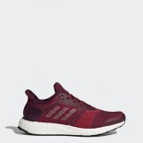 Женские кроссовки Adidas UltraBoost ST S80620_image_1
