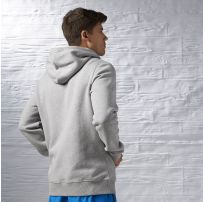 Мужская худи Reebok Elements AJ3174_image_2
