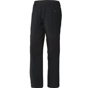 Мужские брюки Adidas Terrex Multi AP7976