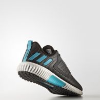 Жіночі кросівки Adidas Climaheat All Terrain W S81979
