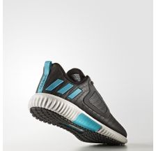 Жіночі кросівки Adidas Climaheat All Terrain W S81979