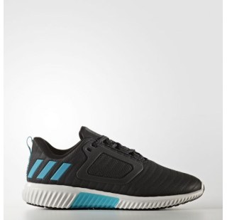 Жіночі кросівки Adidas Climaheat All Terrain W S81979