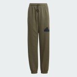 Дитячі штани Adidas Future Icons Logo IM0081_image_1
