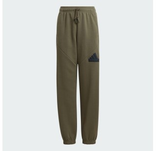 Дитячі штани Adidas Future Icons Logo IM0081