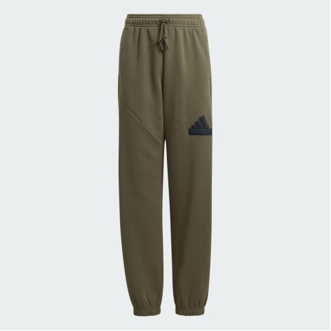Дитячі штани Adidas Future Icons Logo IM0081_image_1