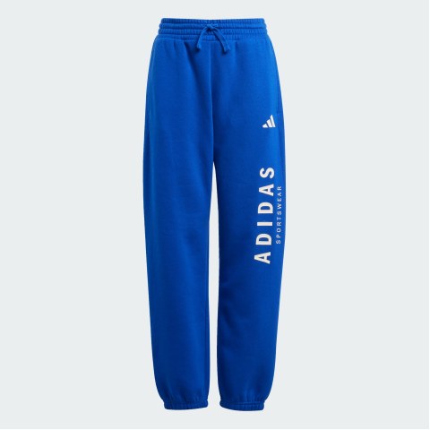 Дитячі штани Adidas All Season GFX JC7613_image_1