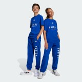Дитячі штани Adidas All Season GFX JC7613_image_2