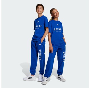 Дитячі штани Adidas All Season GFX JC7613
