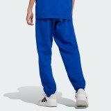 Дитячі штани Adidas All Season GFX JC7613_image_3