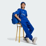 Дитячі штани Adidas All Season GFX JC7613_image_4