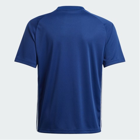 Дитяча футболка Adidas Tiro 25 Essentials JD0586_image_3