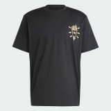 Мужская футболка Adidas Originals JP2672_image_1