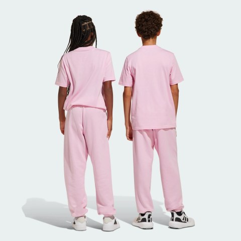 Спортивні штани J All Season GFX Kids Adidas Sportswear JI6165_image_2