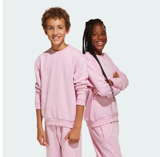 Світшот All Szn Graphic Crew Kids Adidas Sportswear JI6167