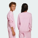 Світшот All Szn Graphic Crew Kids Adidas Sportswear JI6167_image_2