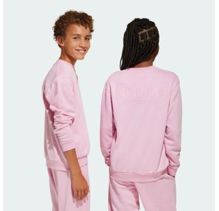 Світшот All Szn Graphic Crew Kids Adidas Sportswear JI6167