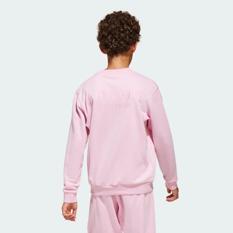 Світшот All Szn Graphic Crew Kids Adidas Sportswear JI6167_image_8