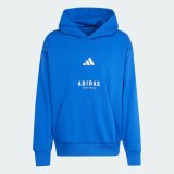 Худі All Szn Fleece Graphic Adidas Sportswear JJ3667_image_1