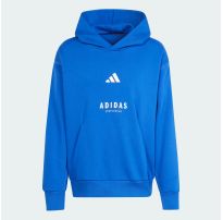 Худі All Szn Fleece Graphic Adidas Sportswear JJ3667_image_2