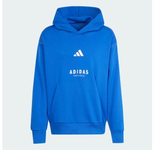 Худі All Szn Fleece Graphic Adidas Sportswear JJ3667