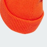 Шапка-біні Terrex Multi Adidas JM0368_image_4