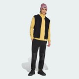 Спортивні штани Terrex Multi Essentials Fleece Adidas KE3444_image_3