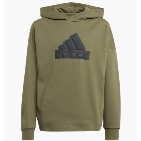 Худи детское Adidas Clothing Sweatshirts Olive IM0076_image_1