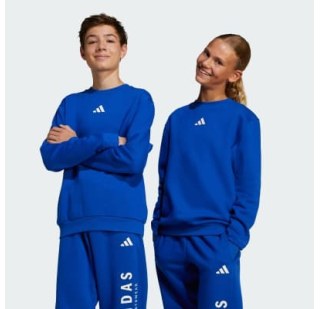 Світшот дитячий Adidas All SZN Graphic Crew Kids Sportswear JC7617