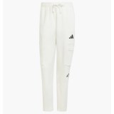 Штани чоловічі Adidas All Szn Fleece Graphic Loose Sportswear White JJ3664_image_1