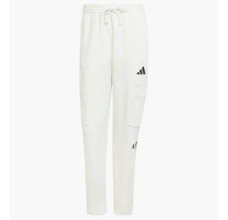 Штаны мужские Adidas All Szn Fleece Graphic Loose Sportswear White JJ3664