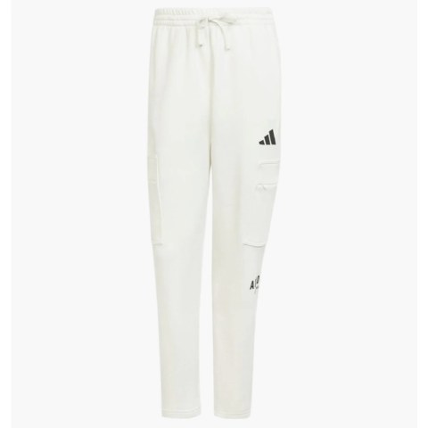 Штани чоловічі Adidas All Szn Fleece Graphic Loose Sportswear White JJ3664_image_1