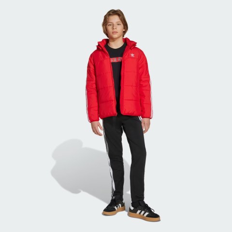 Куртка Adidas Adicolor Kids JW1108_image_3