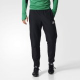 Мужские брюки Adidas TIRO17 WOV PNT AY2861_image_1