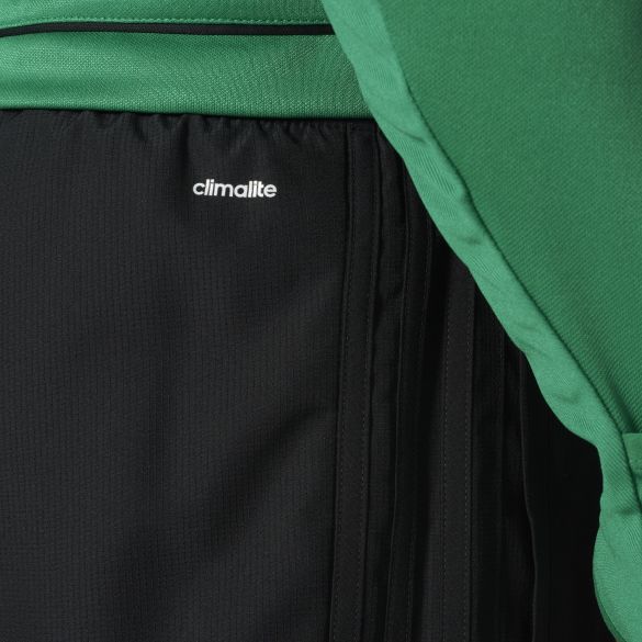 Мужские брюки Adidas TIRO17 WOV PNT AY2861_image_5
