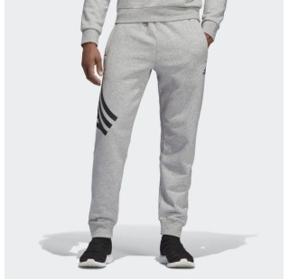 Брюки Adidas Tan Graphic DP2695
