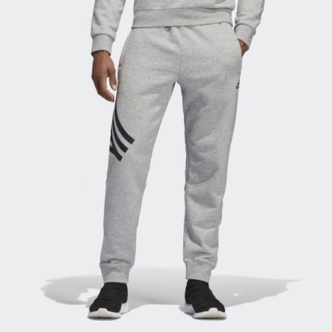 Брюки Adidas Tan Graphic DP2695_image_1