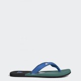 Мужские Сланцы Adidas Eezay F35025_image_1